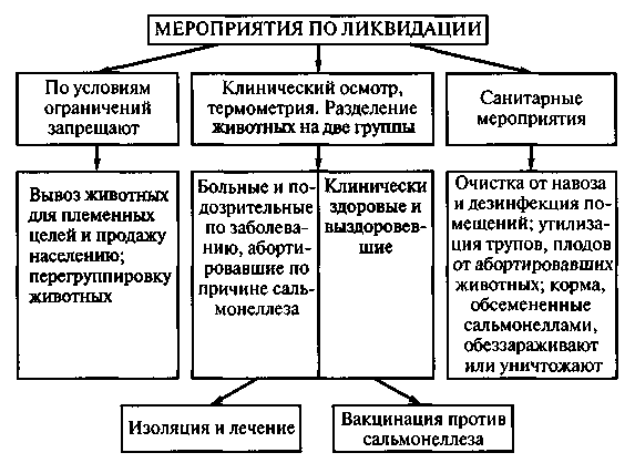 view abrasax ausgewählte papyri religiösen