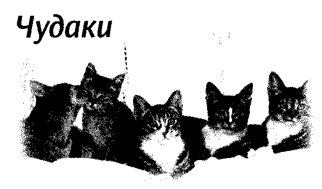 Страна чудес и другие рассказы