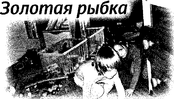 Страна чудес и другие рассказы