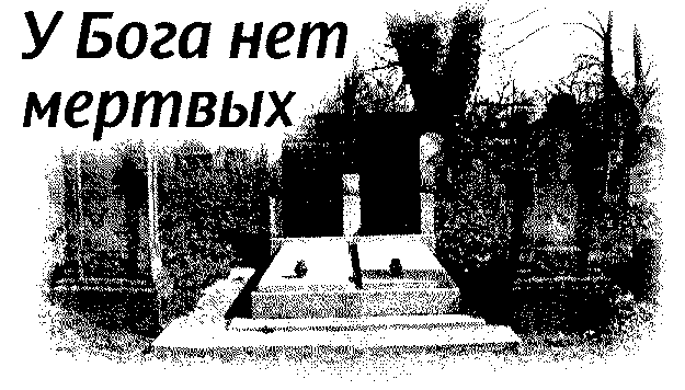 Страна чудес и другие рассказы