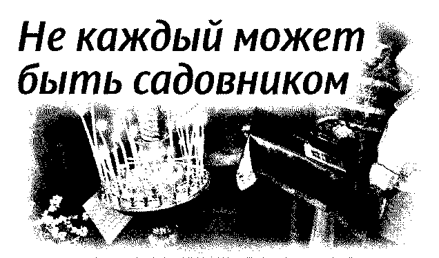 Страна чудес и другие рассказы