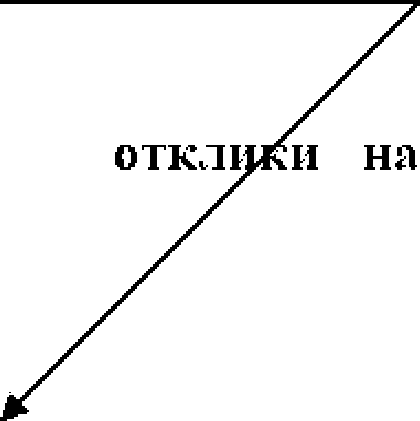 Истинная правда. Языки средневекового правосудия