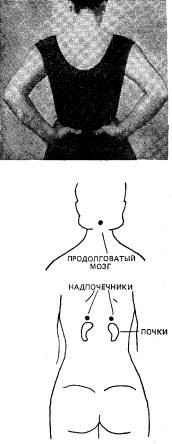 Шиацу — японская терапия надавливанием пальцами