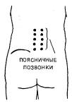 Шиацу — японская терапия надавливанием пальцами