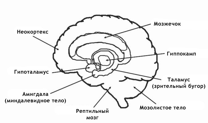 Я вижу, о чём вы думаете