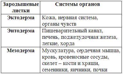 Племенное разведение собак
