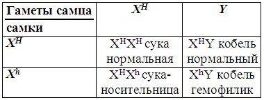Племенное разведение собак