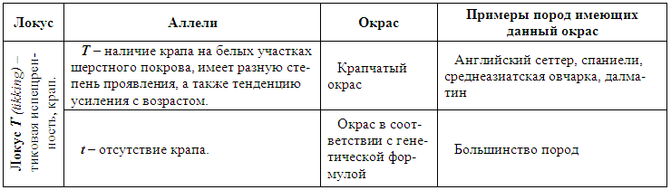 Племенное разведение собак