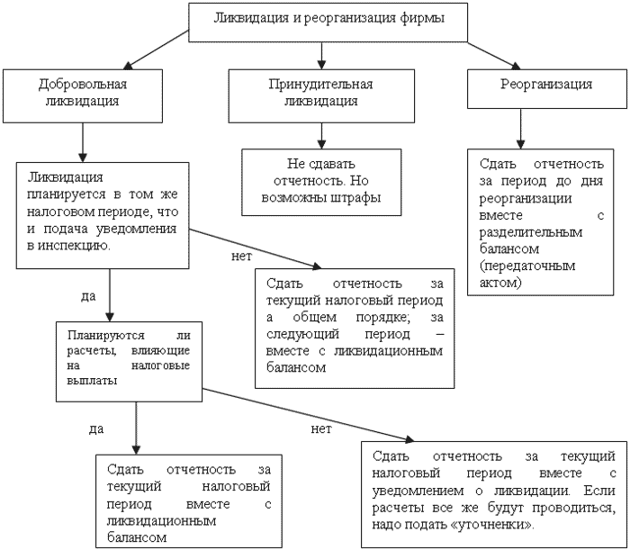 Бухгалтерский учет и налогообложение от создания до ликвидации организации