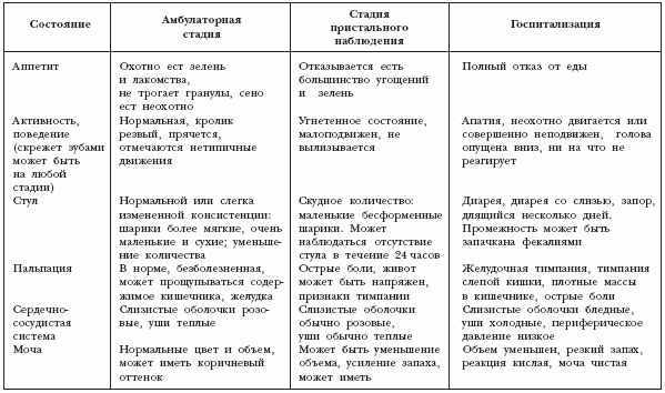 Книга: Декоративные кролики Книга: Декоративные кролики