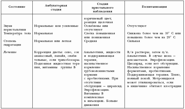 Книга: Декоративные кролики Книга: Декоративные кролики