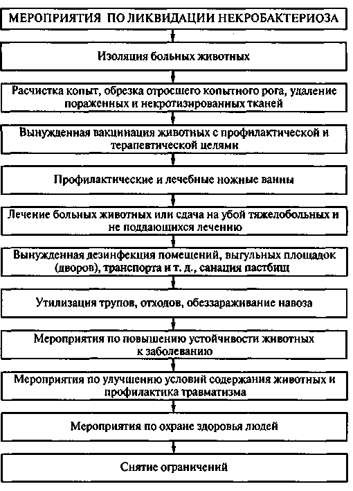 Инфекционные болезни животных