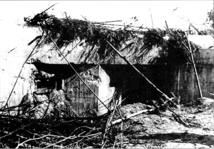 Трагедия Брестской крепости. Антология подвига. 22 июня - 23 июля 1941 года
