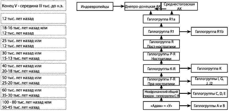 Русские – не славяне?