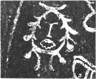 Драмы и секреты истории, 1306-1643