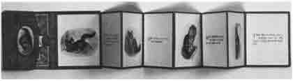 Beatrix Potter Artist, Storyteller and Countrywoman