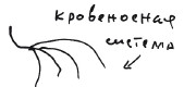 Бортовой журнал 7