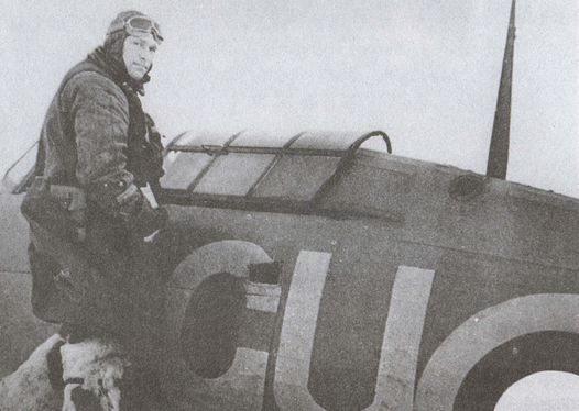 Асы над тундрой. Воздушная война в Заполярье. 1941–1944