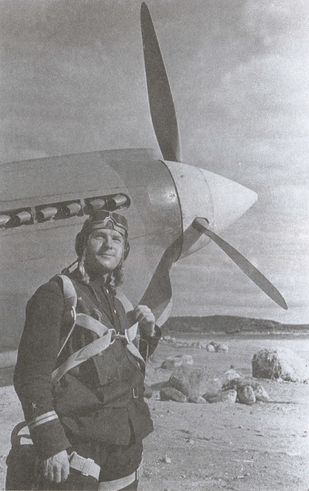 Асы над тундрой. Воздушная война в Заполярье. 1941–1944
