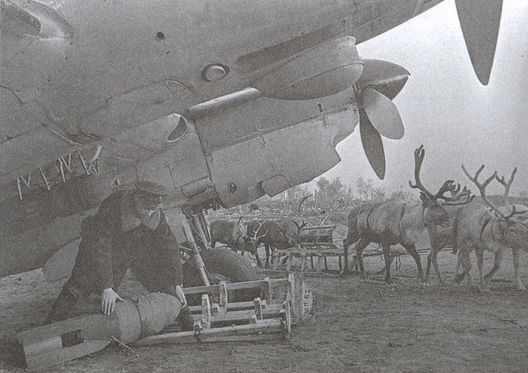 Асы над тундрой. Воздушная война в Заполярье. 1941–1944