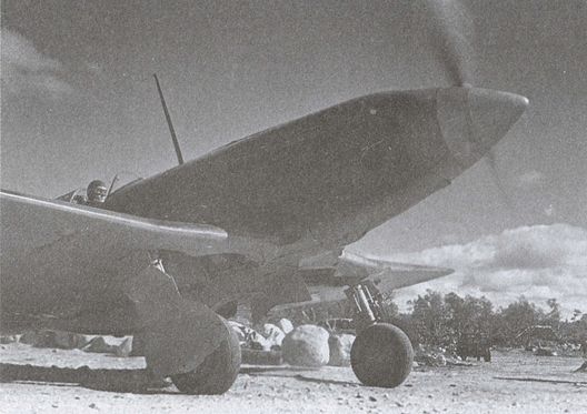 Асы над тундрой. Воздушная война в Заполярье. 1941–1944