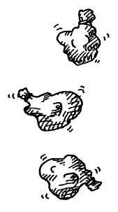The Boy, the Wolf, the Sheep and the Lettuce