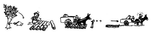 The Boy, the Wolf, the Sheep and the Lettuce