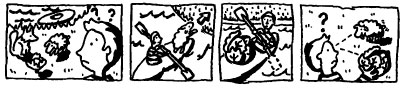 The Boy, the Wolf, the Sheep and the Lettuce