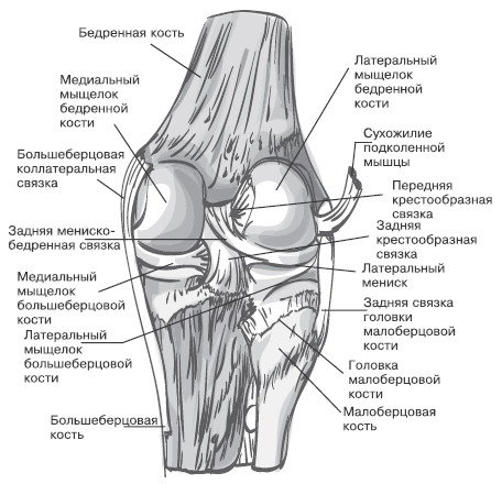 Боль в коленях. Найти и устранить причину