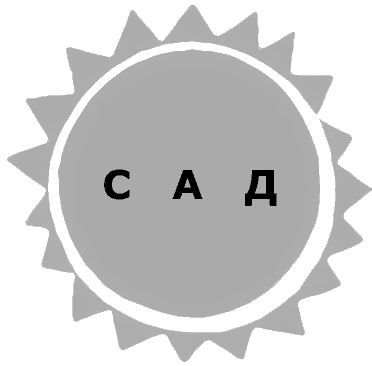 Жук и геометрия. Рассказы
