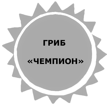 Жук и геометрия. Рассказы