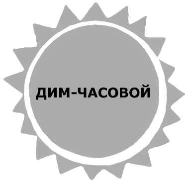 Жук и геометрия. Рассказы