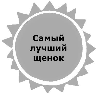 Жук и геометрия. Рассказы