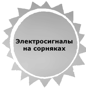 Рассказы