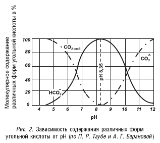 Как продлить быстротечную жизнь