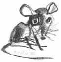 Путешествие в Мышляндию. Книга Мышей для больших и малышей