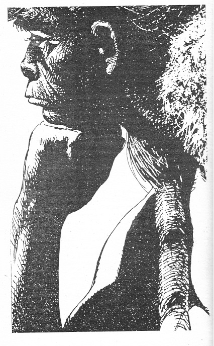 Звездоплаватели (сборник)