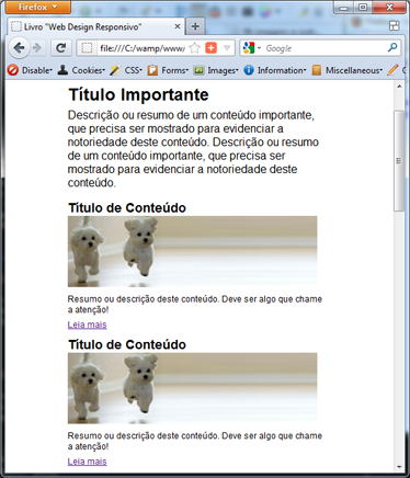 Web Design Responsivo: Páginas adaptáveis para todos os dispositivos