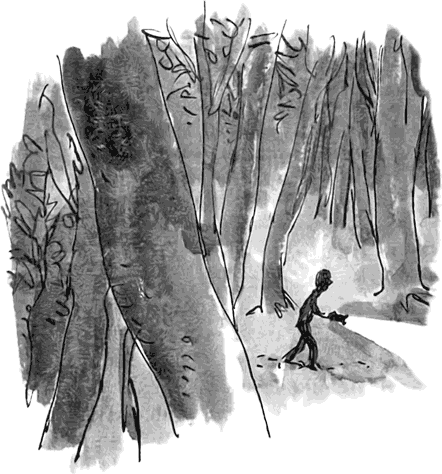 Дэнни - чемпион мира