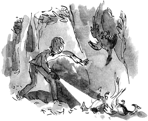Дэнни - чемпион мира