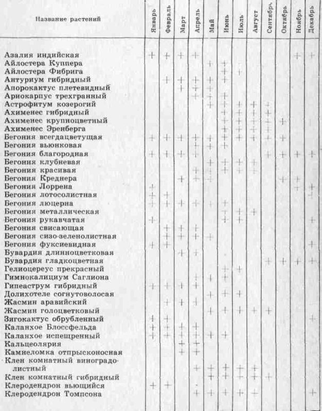 Комнатное цветоводство