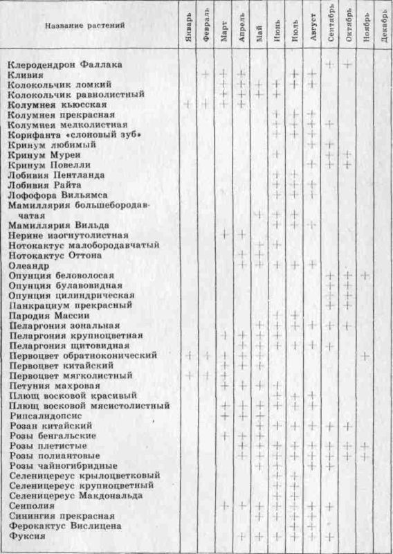 Комнатное цветоводство