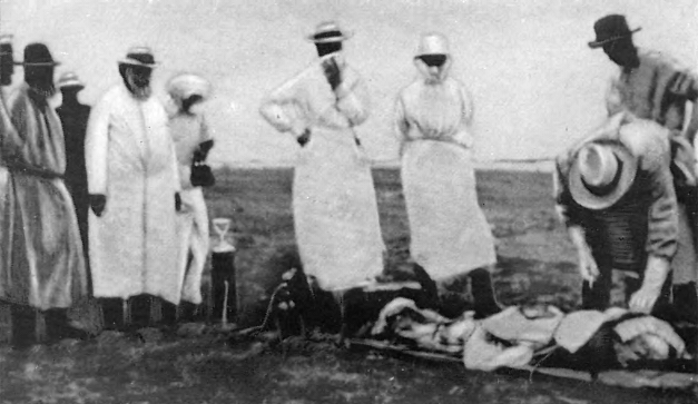 Драматическая медицина. Опыты врачей на себе (с ориг. илл.)