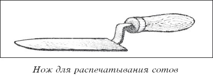 Мед и продукты пчеловодства