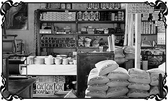 Королевы Привоза