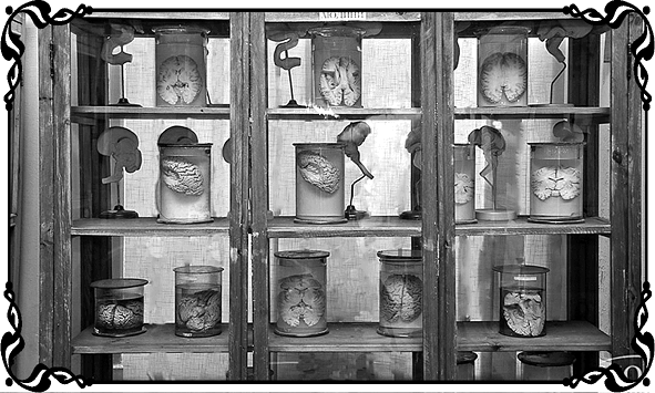 Королевы Привоза