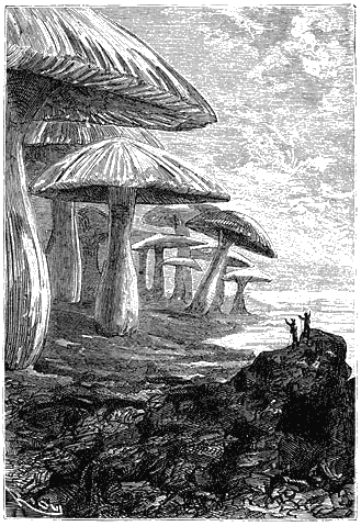 Детская библиотека. Том 61