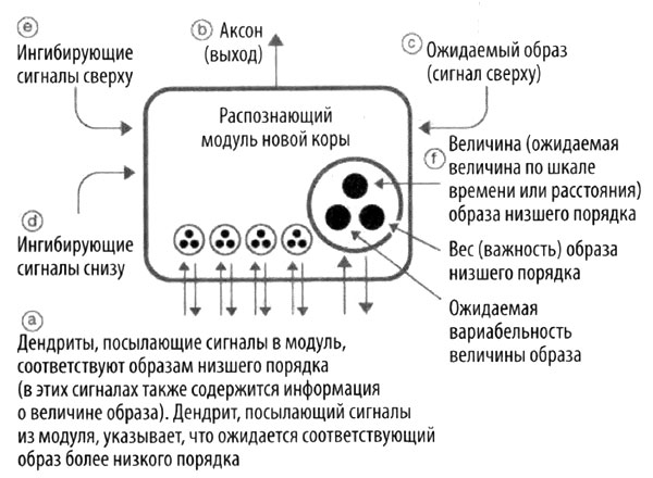 Эволюция разума