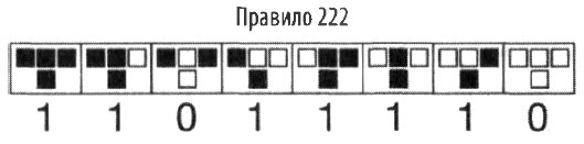Эволюция разума