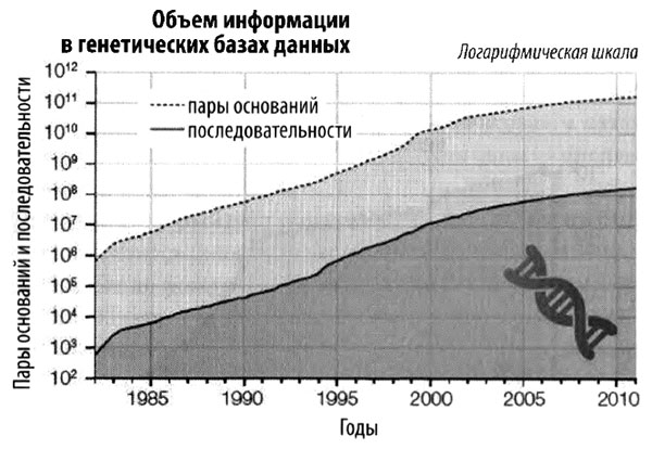 Эволюция разума